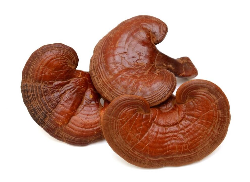 Weiprost zawiera grzyby Reishi