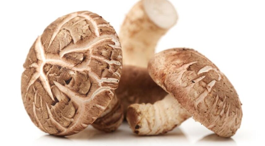 Weiprost zawiera grzyby shiitake